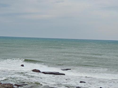 DSCN2131.JPG