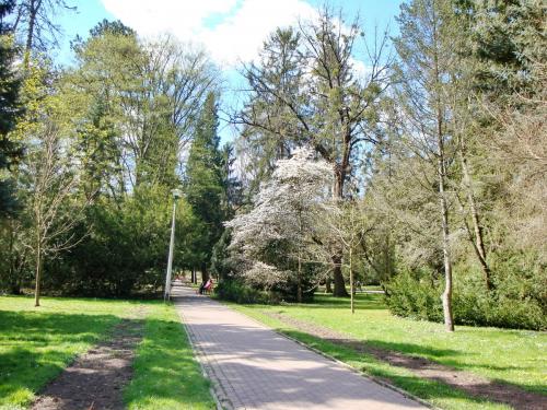 DSC07961-парк в Мишкольце.JPG