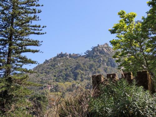 DSCN2754.JPG