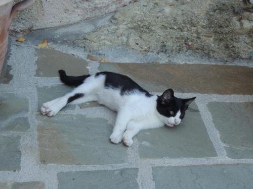 DSCN6892.JPG
