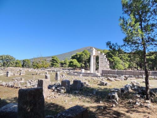 DSCN7258.JPG