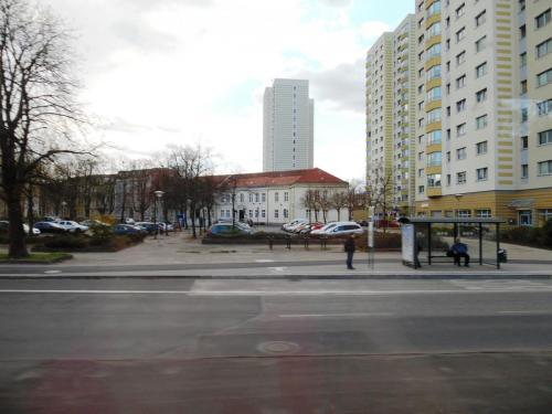 SAM_0950.JPG