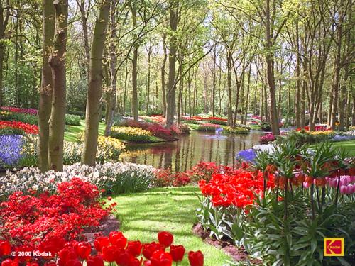 GARDEN.JPG