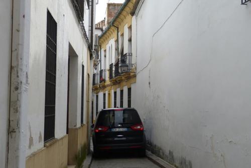 P1150639.JPG