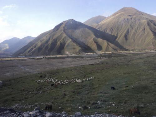 Горы и барашки.JPG