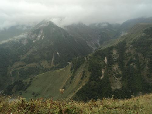 Вид с цветком.JPG