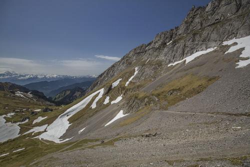 HL1A8756.jpg