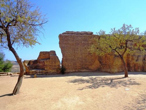 870_653_fixedwidth (11).jpg