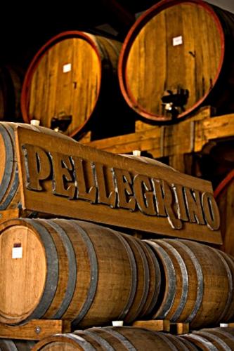 pellegrino.jpg