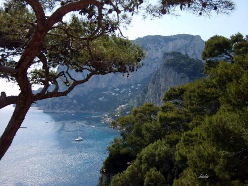 italia_019_capri.jpg