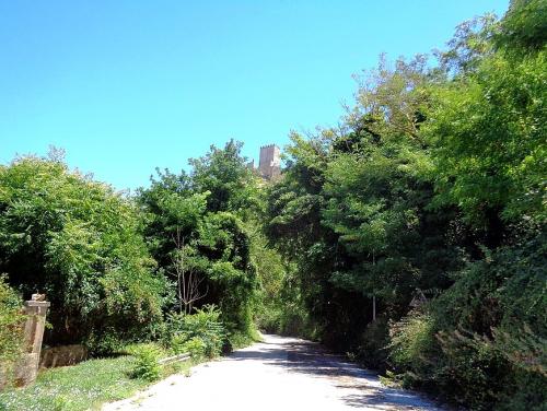 870_653_fixedwidth (44).jpg