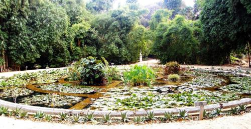 Aquarium01_Orto_botanico_Palermo.jpg