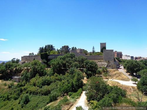 870_653_fixedwidth (41).jpg