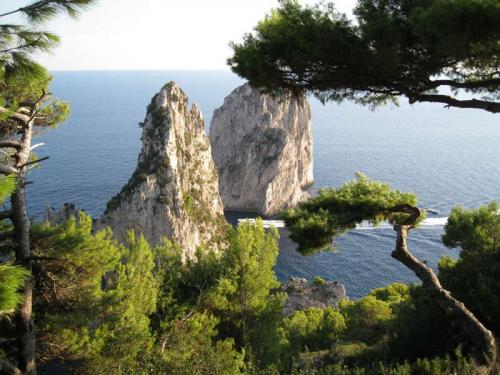capri_1.jpg