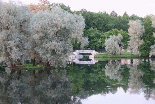 2017-07-08 19-14-40.JPG