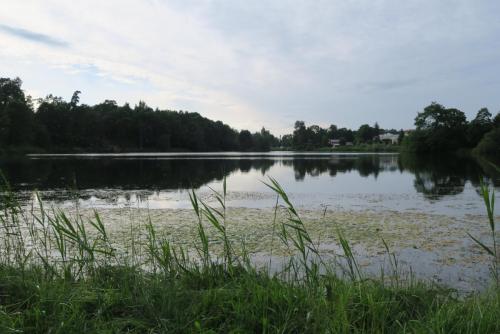 2017-07-08 16-31-19.JPG