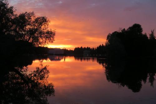 2017-07-08 19-18-36.JPG