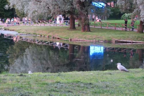 2017-07-08 19-15-11.JPG