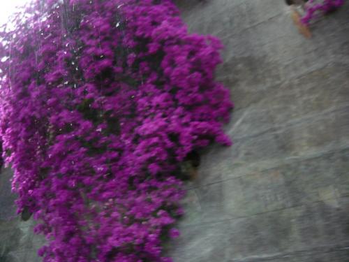 P1080536.JPG