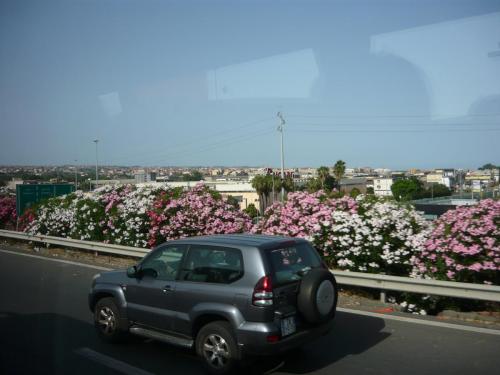 P1100686.JPG