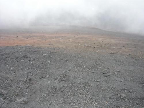 P1080438.JPG