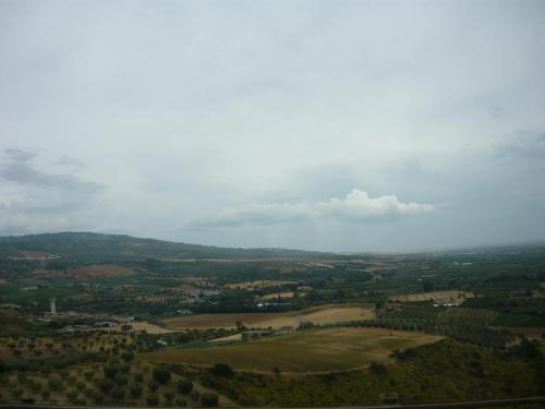 P1100843.JPG