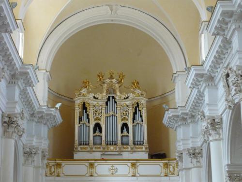 P1100677.JPG