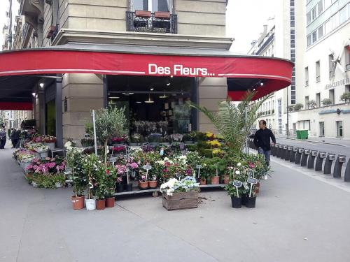 20160604_130638 - копия.jpg