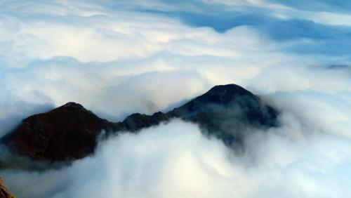 Европа 2017 450.jpg