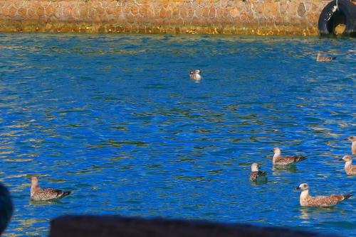 Европа 2017 1013.jpg