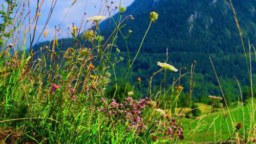 Европа 2017 222.jpg