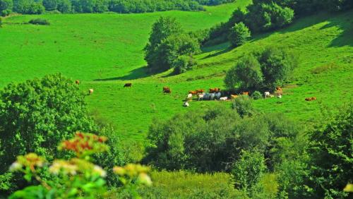 Европа 2017 219.jpg