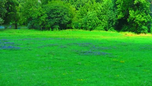 Европа 2017 805.jpg