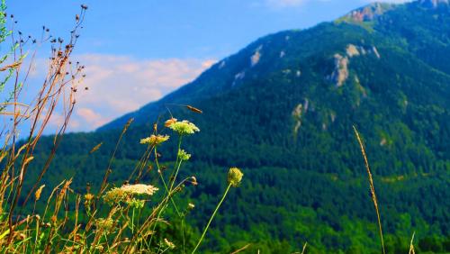 Европа 2017 223.jpg