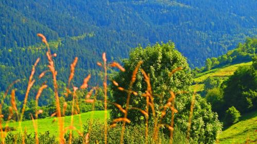 Европа 2017 225.jpg