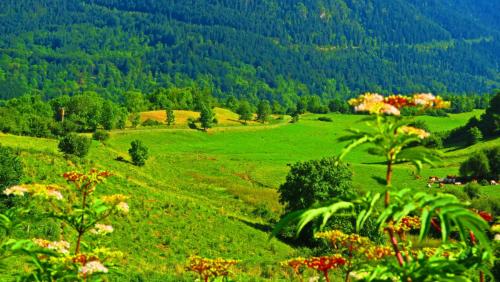 Европа 2017 218.jpg