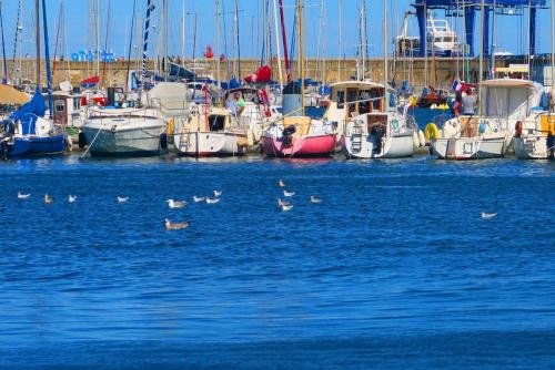 Европа 2017 1021.jpg