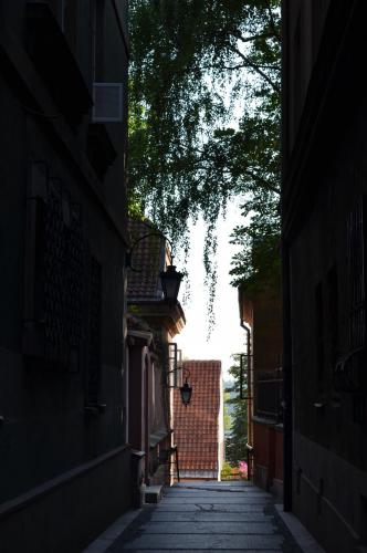 DSC_0475.JPG