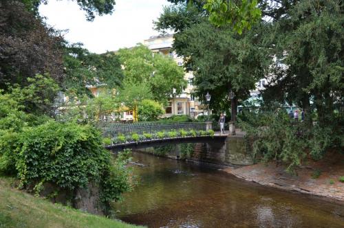 DSC_1007.JPG