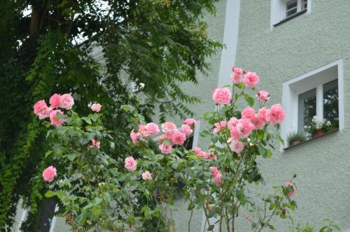 DSC_0355.JPG