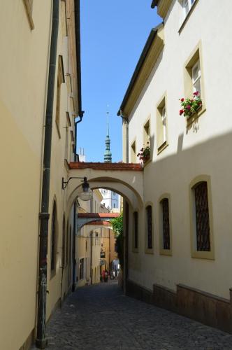 DSC_0390.JPG