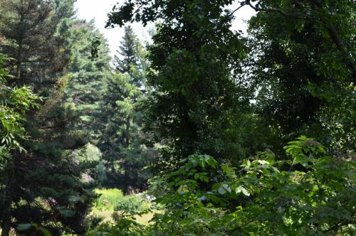DSC_0447.JPG