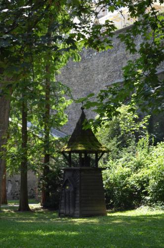 DSC_0448.JPG