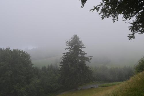 DSC_0476.JPG