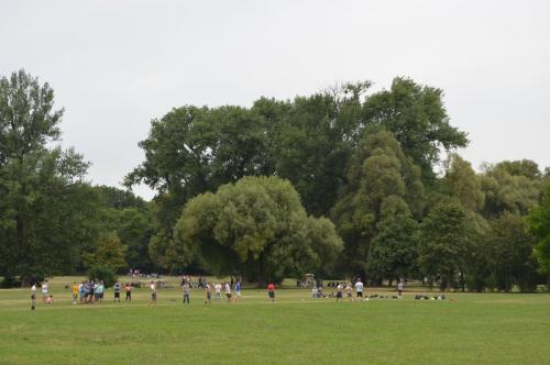 DSC_0100.JPG