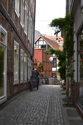 DSC_0390.JPG