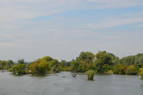 DSC_0255.JPG