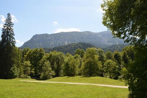 DSC_0804.JPG