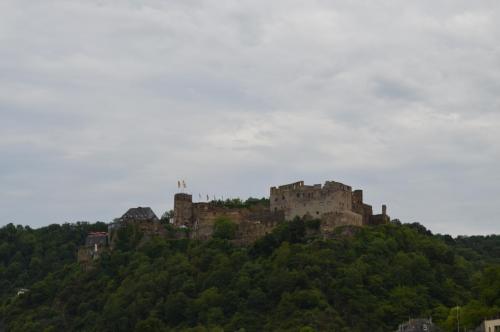 DSC_0828.JPG