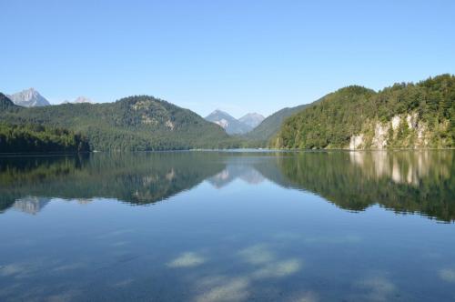 DSC_0726.JPG